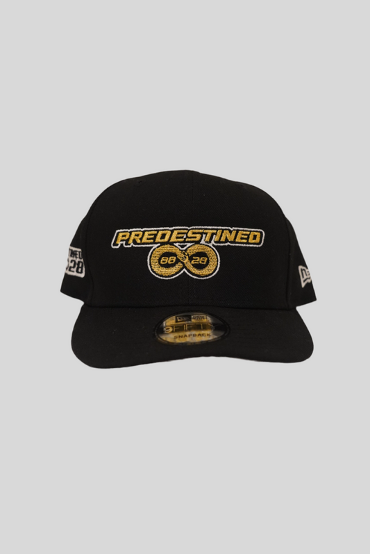 PREDESTINED88♾️28 Snap Back Hat